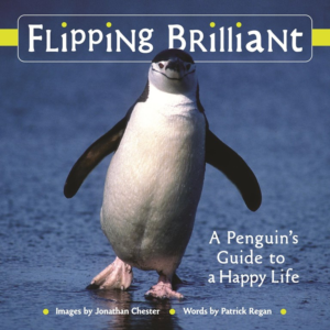 Jonathan Chester captures the essence of the Antarctic's most popular residents to illustrate the similarities between penguins' lives and our own.